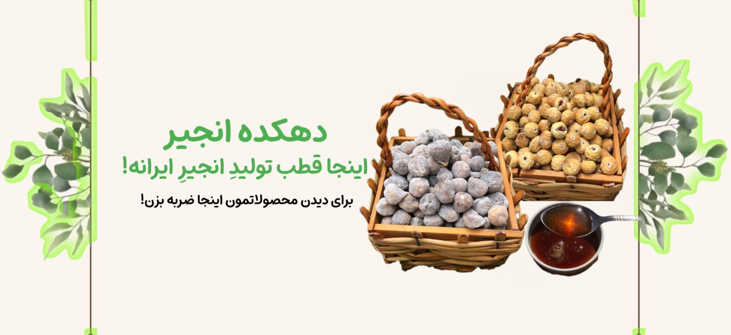 دهکده انجیر